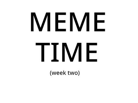 MEME TIME (week 2)