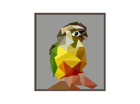 Pineapple Mutation Green-Cheek Conure Polyart