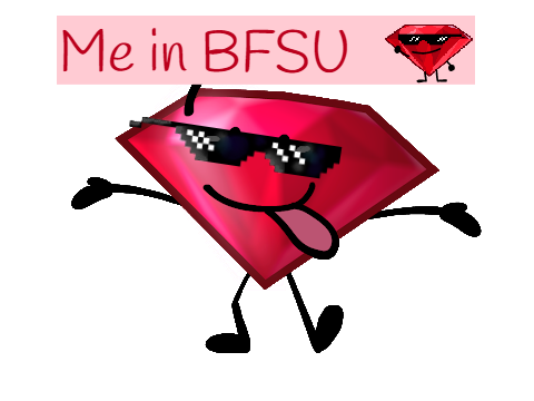 Me in BFSU