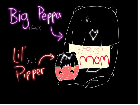 Lil' Pipper and Big Pippa!