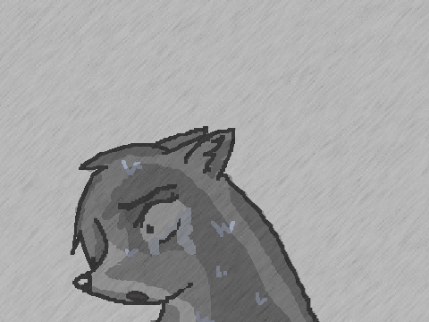 Splash died