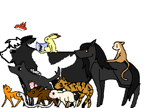 The Zodiac Animals Of Fruits Basket