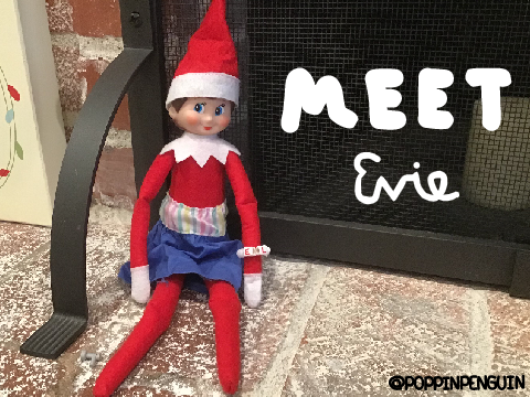 meet evie! (reshare)