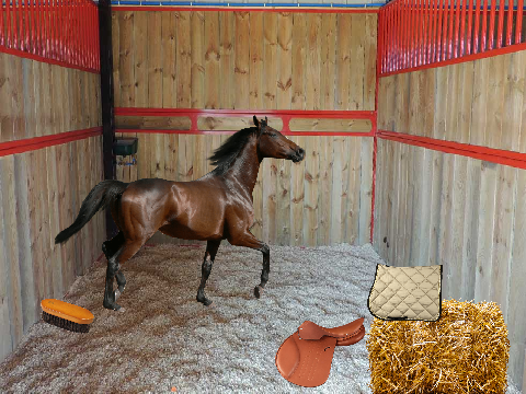 Occupe toi de ton cheval