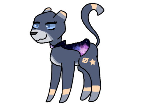 my new sona