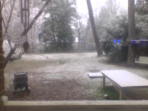 SNOW (Backyard reveal)