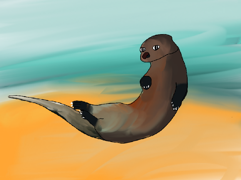 Cute Sea Otter