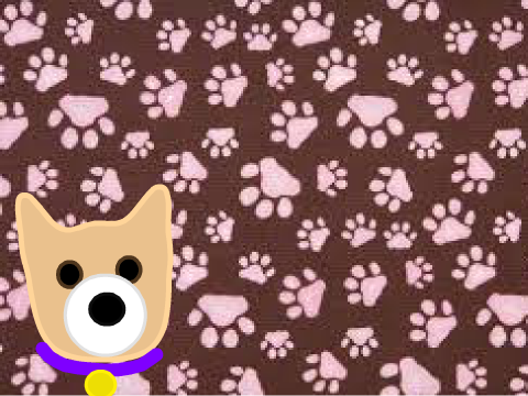 Dog Contest(OPEN)