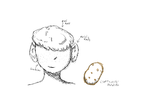 more doodles