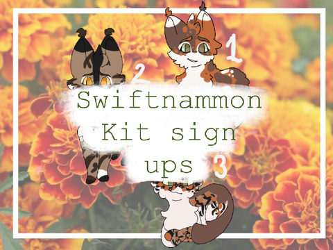 ✧ Swiftnammon kit sign ups - done ✧