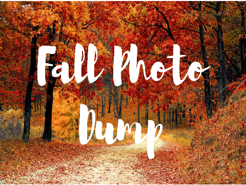 Fall/Autumn Photo Dump