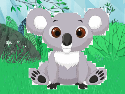 Koala Animation [attempt]
