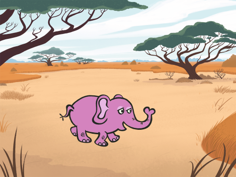 The Elaphant in the savanna