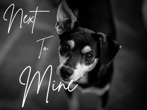 next to mine | a poem