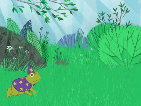 frogs