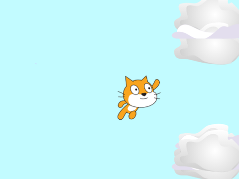 Flying Cat :)