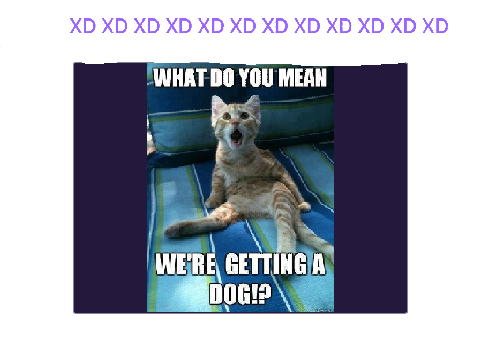 CATS<3