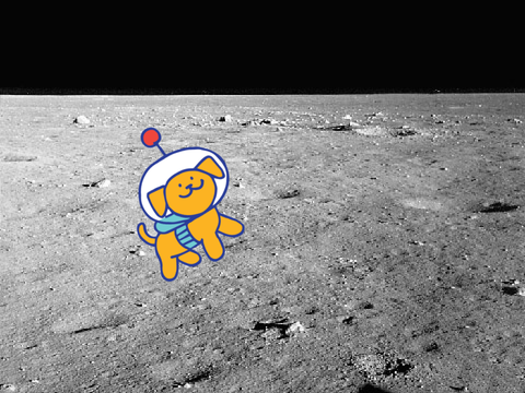 Space Dog