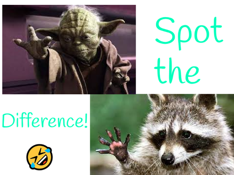 Spot the difference!