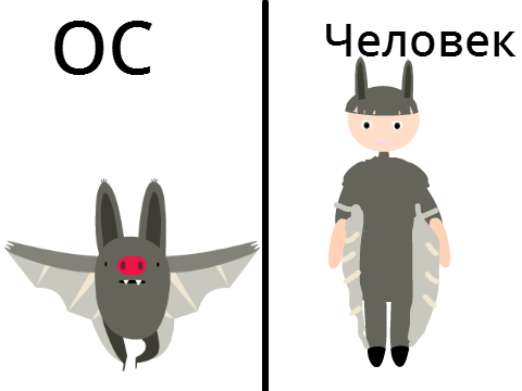 Вот