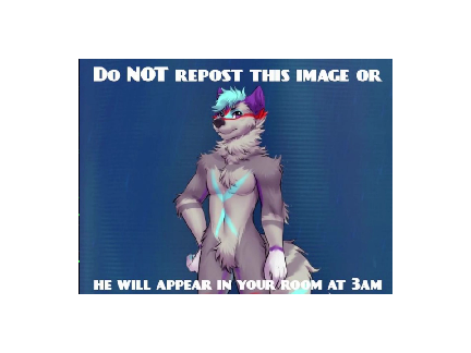 you know why i did this