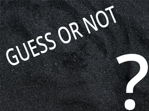 Guess or Not || A Trivia Game