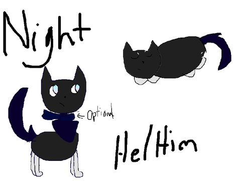 Night REF