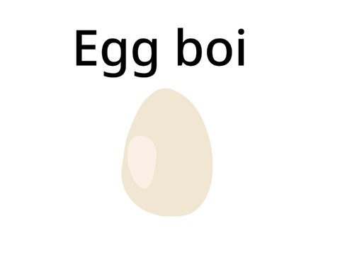 Egg boi 4