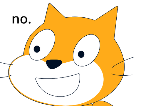 cat says no.