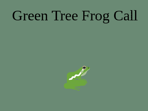 Green Tree Frog Call 