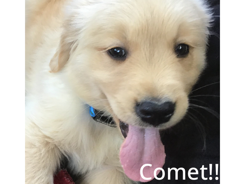 Comet!!!!