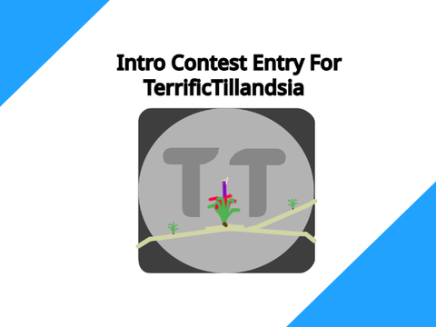 Entry: TerrificTillandsia Intro Contest 