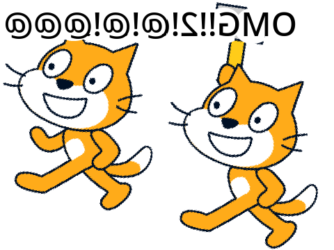 cat gets bonked but reversed