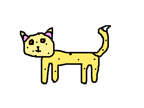 Cookie