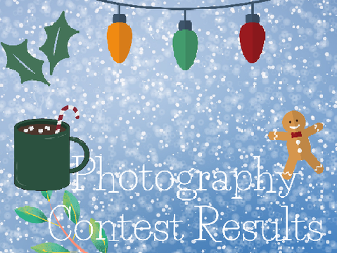  ❄| photography contest results (a collab)