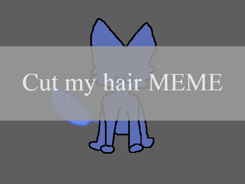 DTAE for feather (lazy)