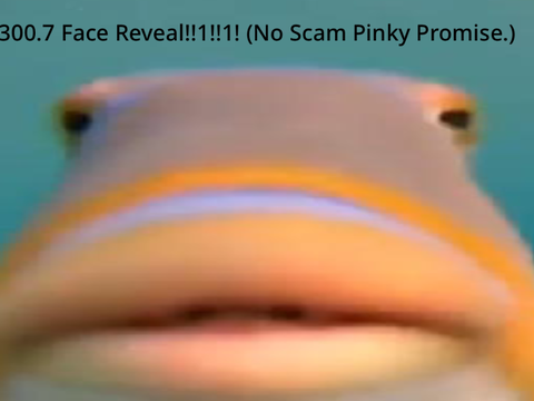 300 Face Reveal