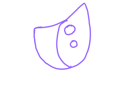 Animation test