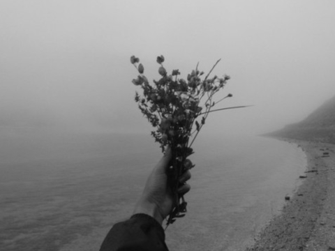 bumblebees are out / monochrome cce / [ gore]