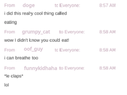 funny zoom chat haha XD