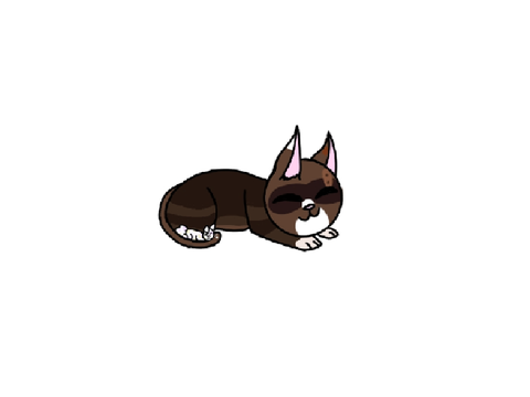Camillekit Sleeping Next To Ospreyfeather