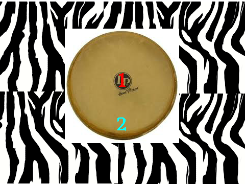 How to: Play the bongos!!
