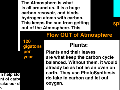 Carbon Cycle Simulation