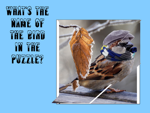 winter-puzzle
