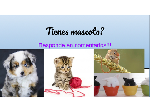 Tienes mascota?
