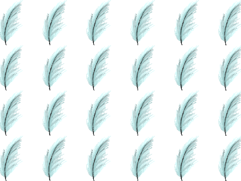 Cricketkit’s Infinite Feather Supply! (CIFS)