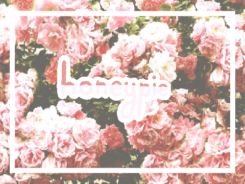 - h o n e y p i e -