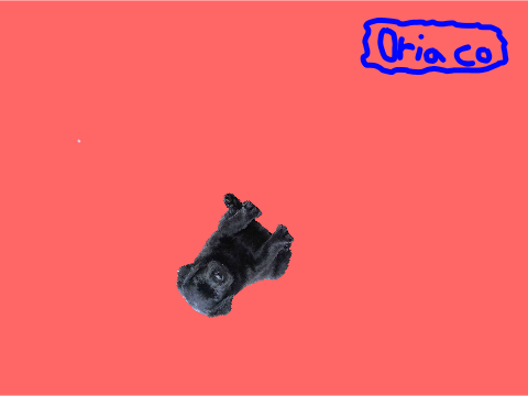 dog clicker