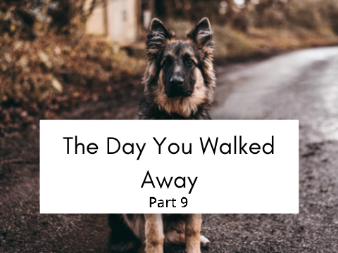 part 9 // the day you walked away