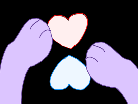 random vector animation